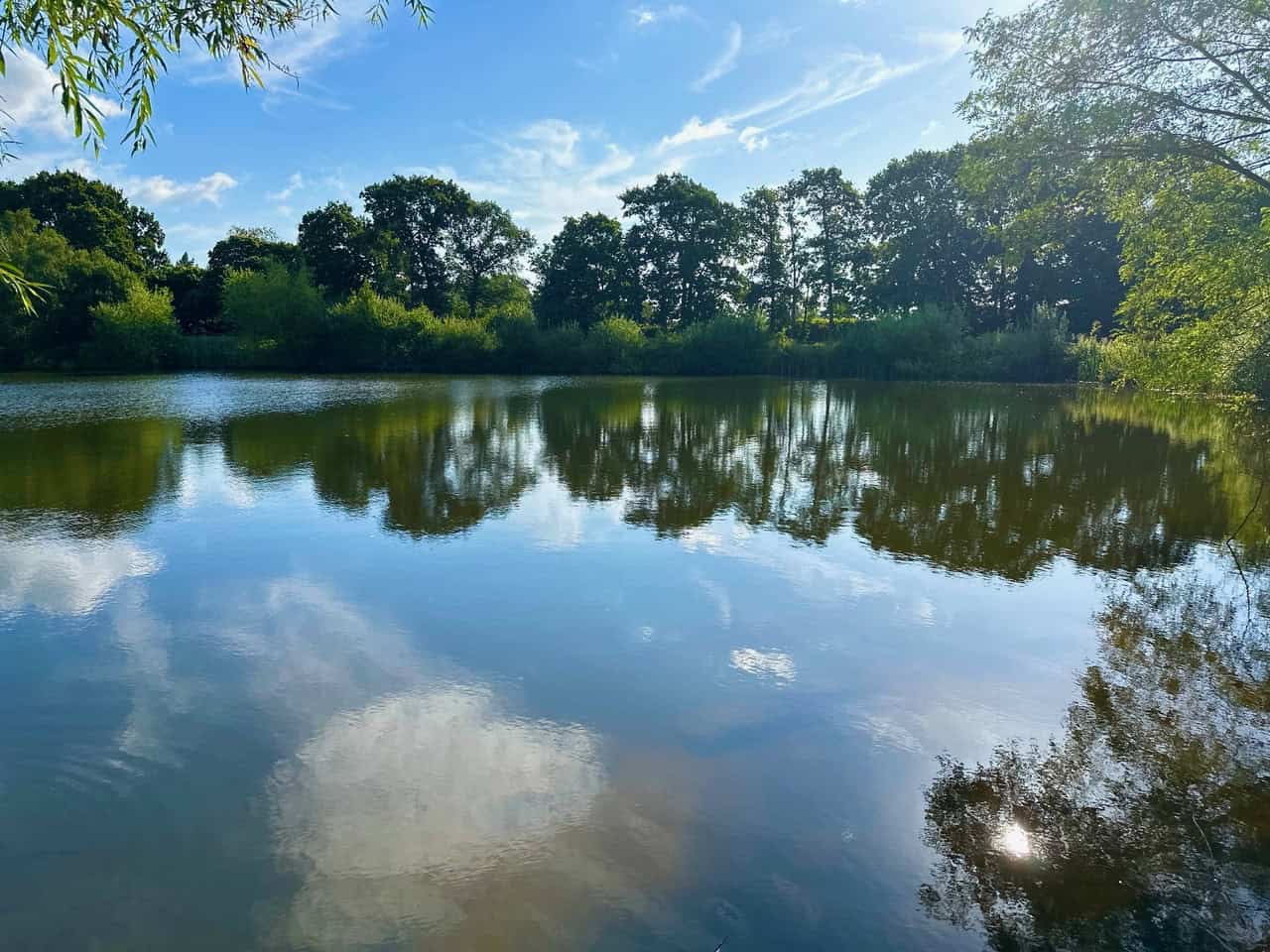 Messingham Lakes - Lake View